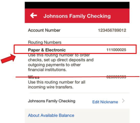 Banking information on mobile app